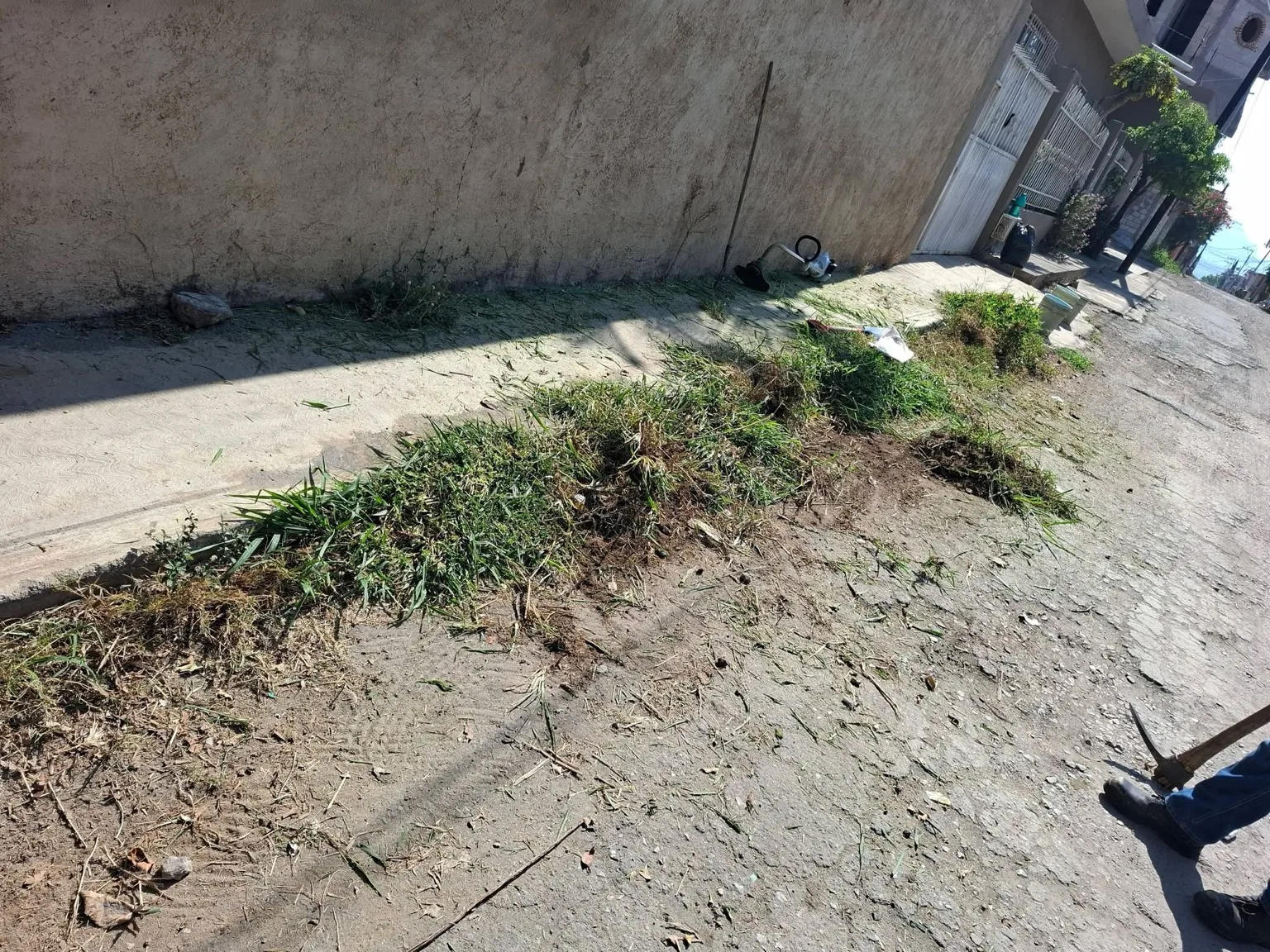 Limpieza y retiro de vegetación en exterior